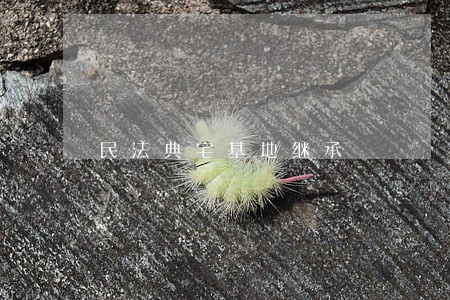 民法典宅基地继承