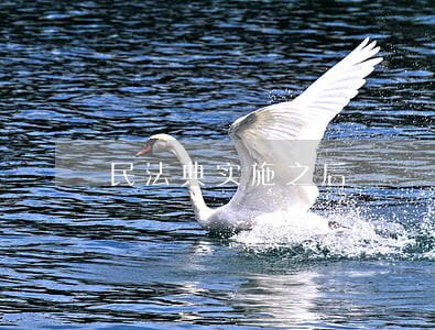 民法典实施之后 民法典实施之后