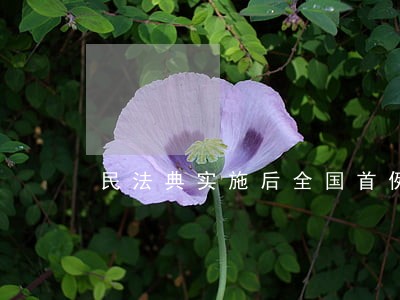 民法典实施后全国首例 民法典实施后全国首例