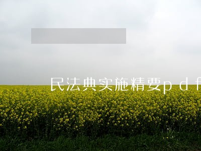 民法典实施精要pdf