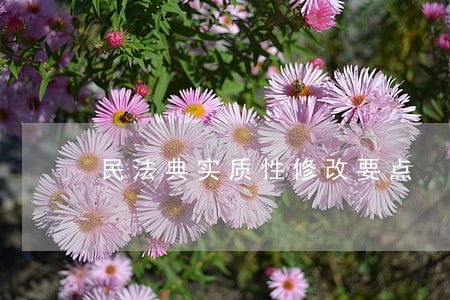民法典实质性修改要点 民法典实质性修改要点