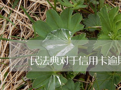 民法典对于信用卡逾期催收的政策