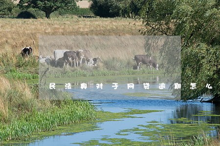 民法典对于网贷逾期怎么算 民法典对于网贷逾期怎么算