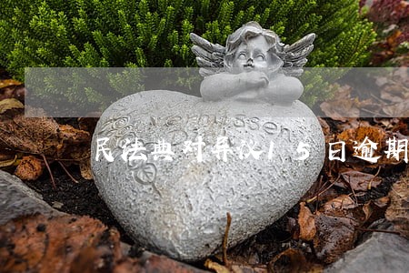 民法典对异议15日逾期的规定 民法典对异议15日逾期的规定