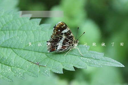 民法典对社会问题做了回应 民法典对社会问题做了回应
