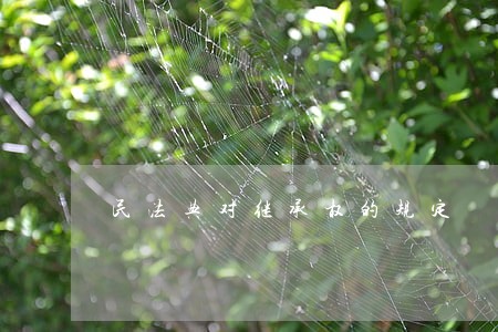 民法典对继承权的规定 民法典对继承权的规定