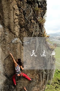 民法典开讲第九讲观后感文章 民法典开讲第九讲观后感文章
