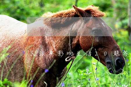 民法典影响生活20题答案 民法典影响生活20题答案