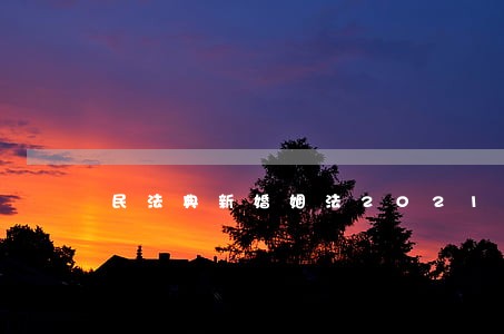 民法典新婚姻法2021年新规