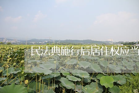 民法典施行后居住权应当如何理解 民法典施行后居住权应当如何理解