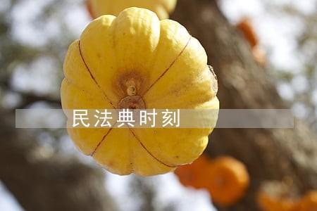 民法典时刻 民法典时刻