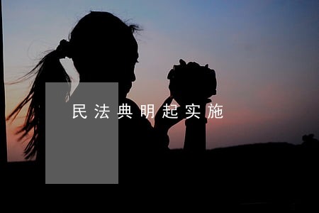民法典明起实施