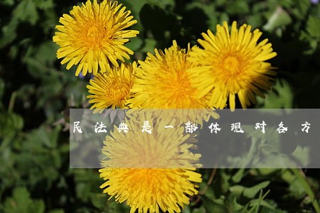 民法典是一部体现对各方面 民法典是一部体现对各方面
