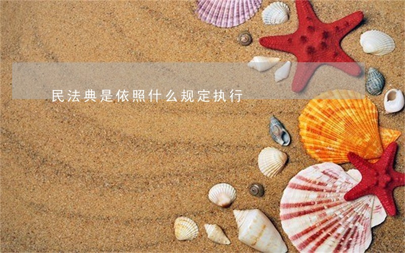 民法典是依照什么规定执行 民法典是依照什么规定执行