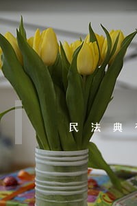 民法典有新招 民法典有新招