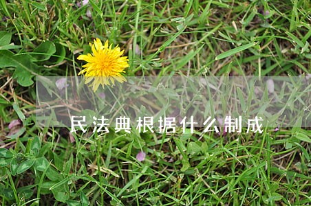 民法典根据什么制成 民法典根据什么制成