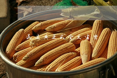 民法典正式全文生育 民法典正式全文生育