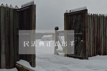 民法典正式出手 民法典正式出手