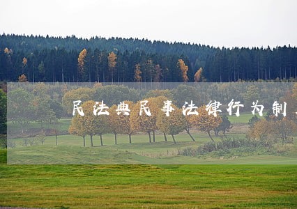 民法典民事法律行为制度 民法典民事法律行为制度