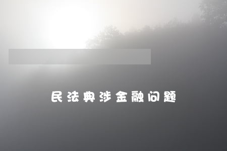 民法典涉金融问题 民法典涉金融问题