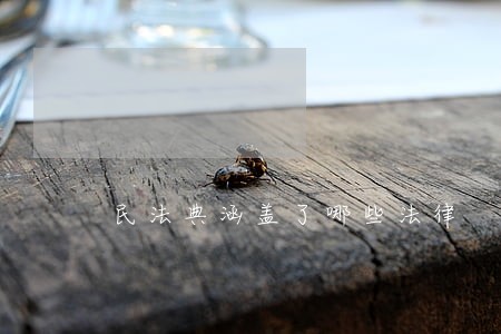 民法典涵盖了哪些法律 民法典涵盖了哪些法律