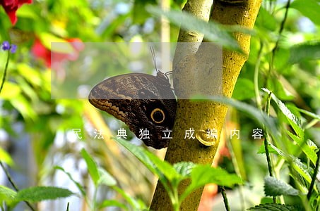 民法典独立成编内容 民法典独立成编内容