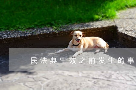 民法典生效之前发生的事情 民法典生效之前发生的事情