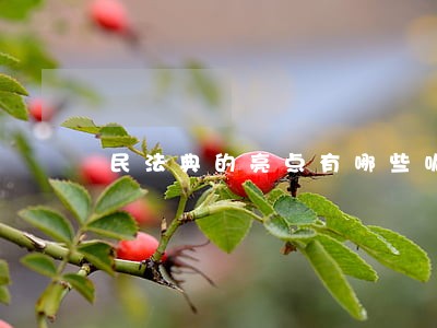 民法典的亮点有哪些呢 民法典的亮点有哪些呢