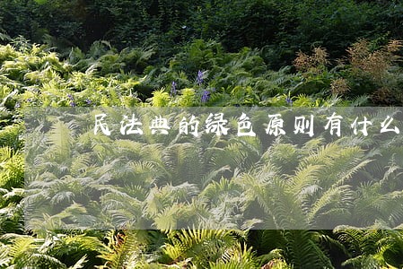 民法典的绿色原则有什么规定 民法典的绿色原则有什么规定