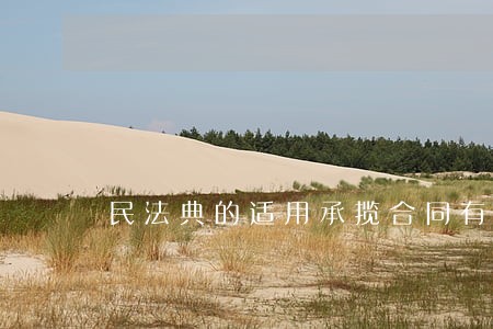 民法典的适用承揽合同有哪些