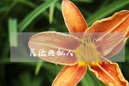 民法典私人 民法典私人
