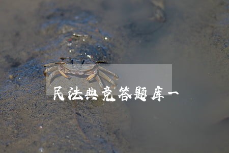 民法典竞答题库一 民法典竞答题库一