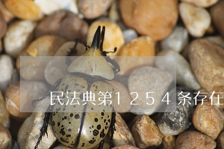 民法典第1254条存在的问题 民法典第1254条存在的问题