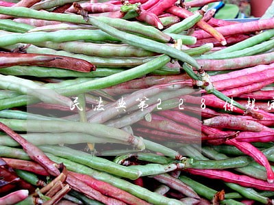 民法典第228条规定