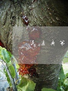 民法典第500条规定分析 民法典第500条规定分析