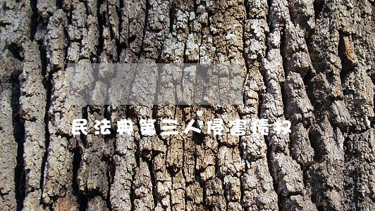 民法典第三人侵害债权