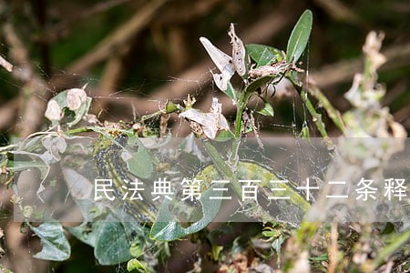 民法典第三百三十二条释义 民法典第三百三十二条释义