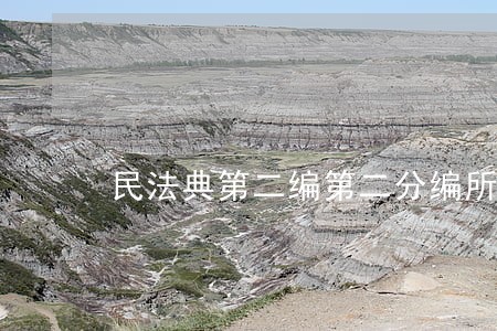 民法典第二编第二分编所有权 民法典第二编第二分编所有权