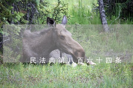 民法典第八百六十四条