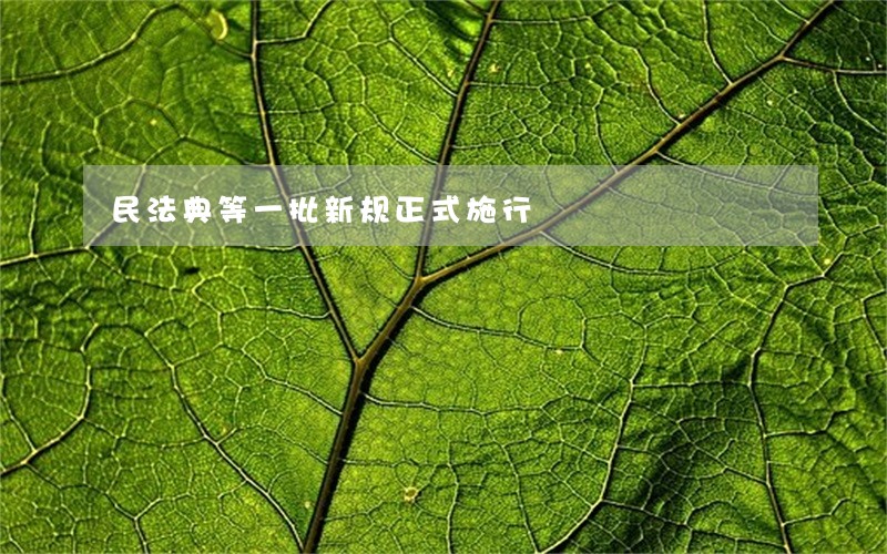 民法典等一批新规正式施行
