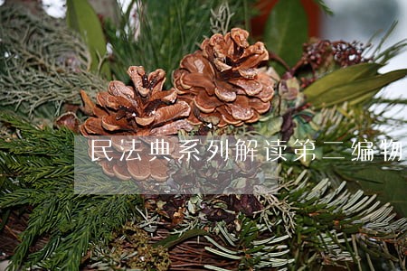 民法典系列解读第二编物权 民法典系列解读第二编物权