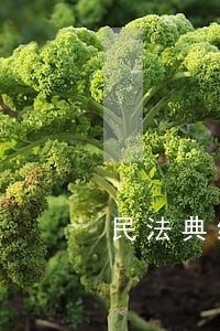 民法典给你的生活将有这些大不同 民法典给你的生活将有这些大不同