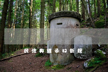 民法典继承权新规