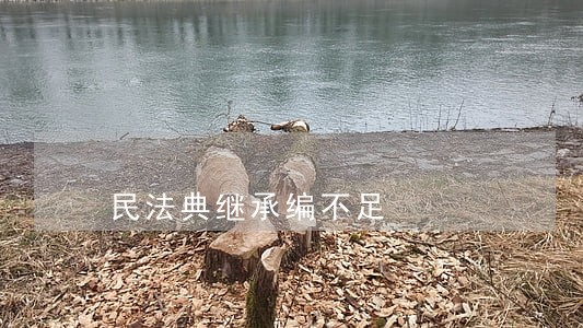 民法典继承编不足 民法典继承编不足