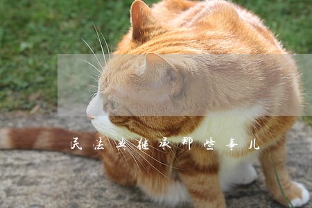 民法典继承那些事儿 民法典继承那些事儿