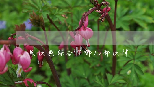 民法典综合了哪几部法律 民法典综合了哪几部法律