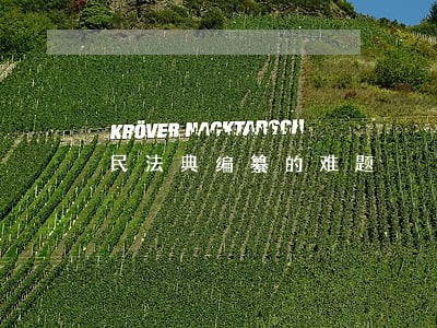 民法典编纂的难题 民法典编纂的难题