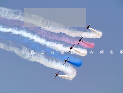 民法典草案并存债务承担
