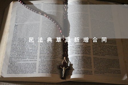 民法典草案新增合同 民法典草案新增合同