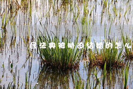 民法典被胁迫结婚的怎么办